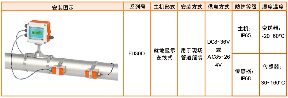 FU30D-就地在線(xiàn)式